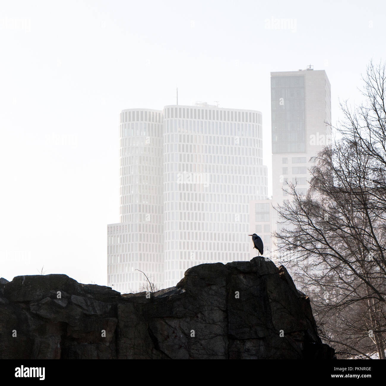 Kran Silhouette in dunstiger Berlin gegen Hochhaus Stockfoto