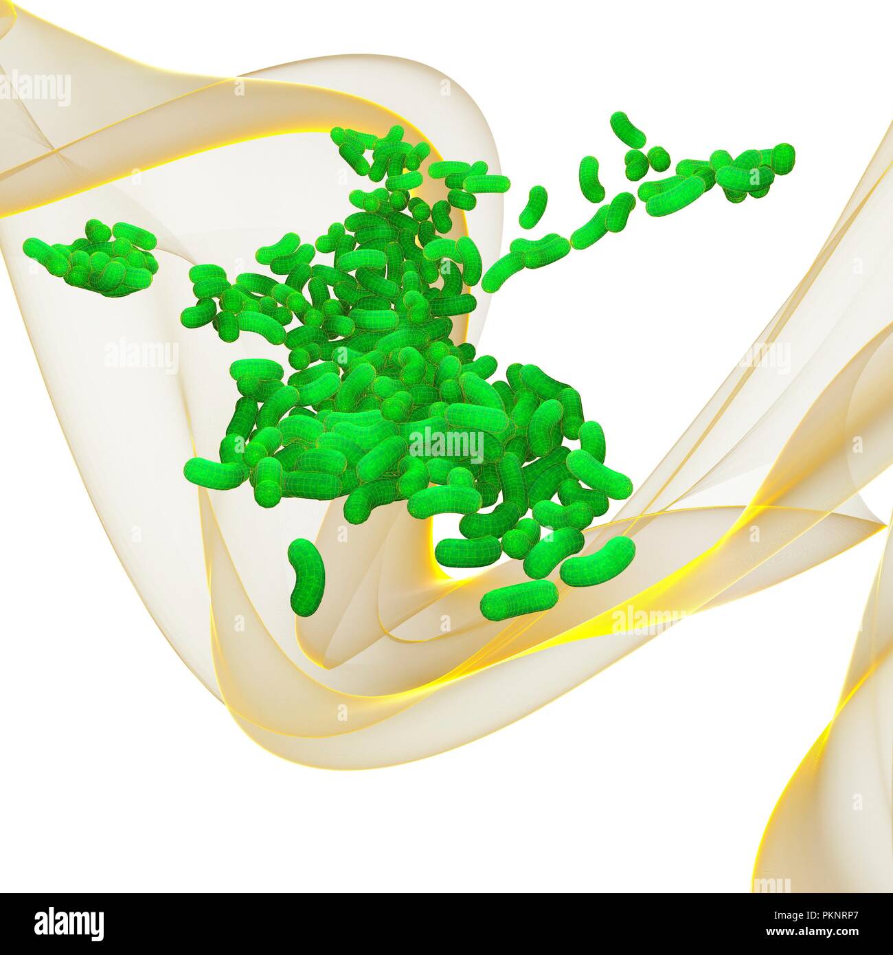 Grüne Bakterien, Illustration. Stockfoto