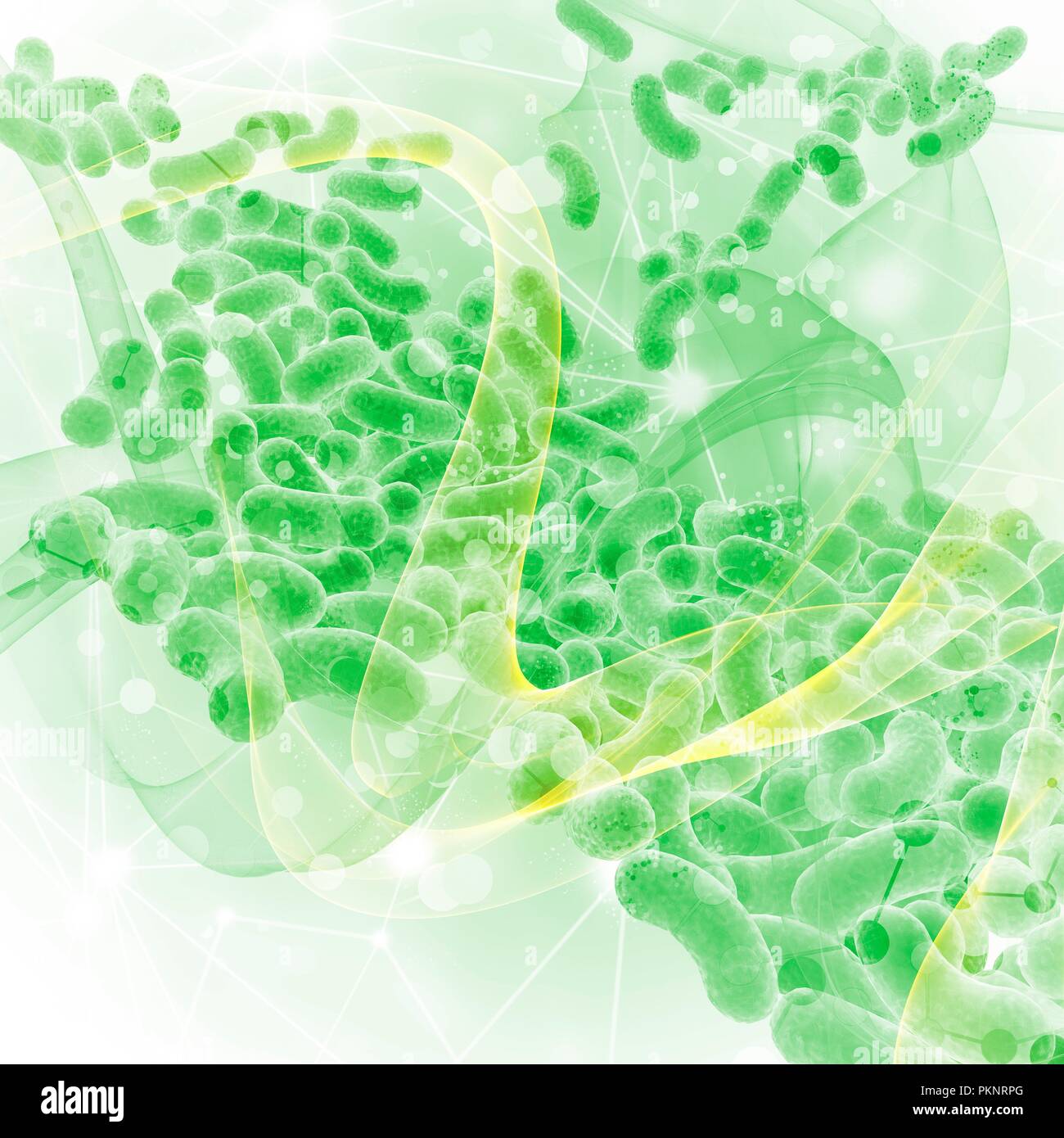 Grüne Bakterien, Illustration. Stockfoto