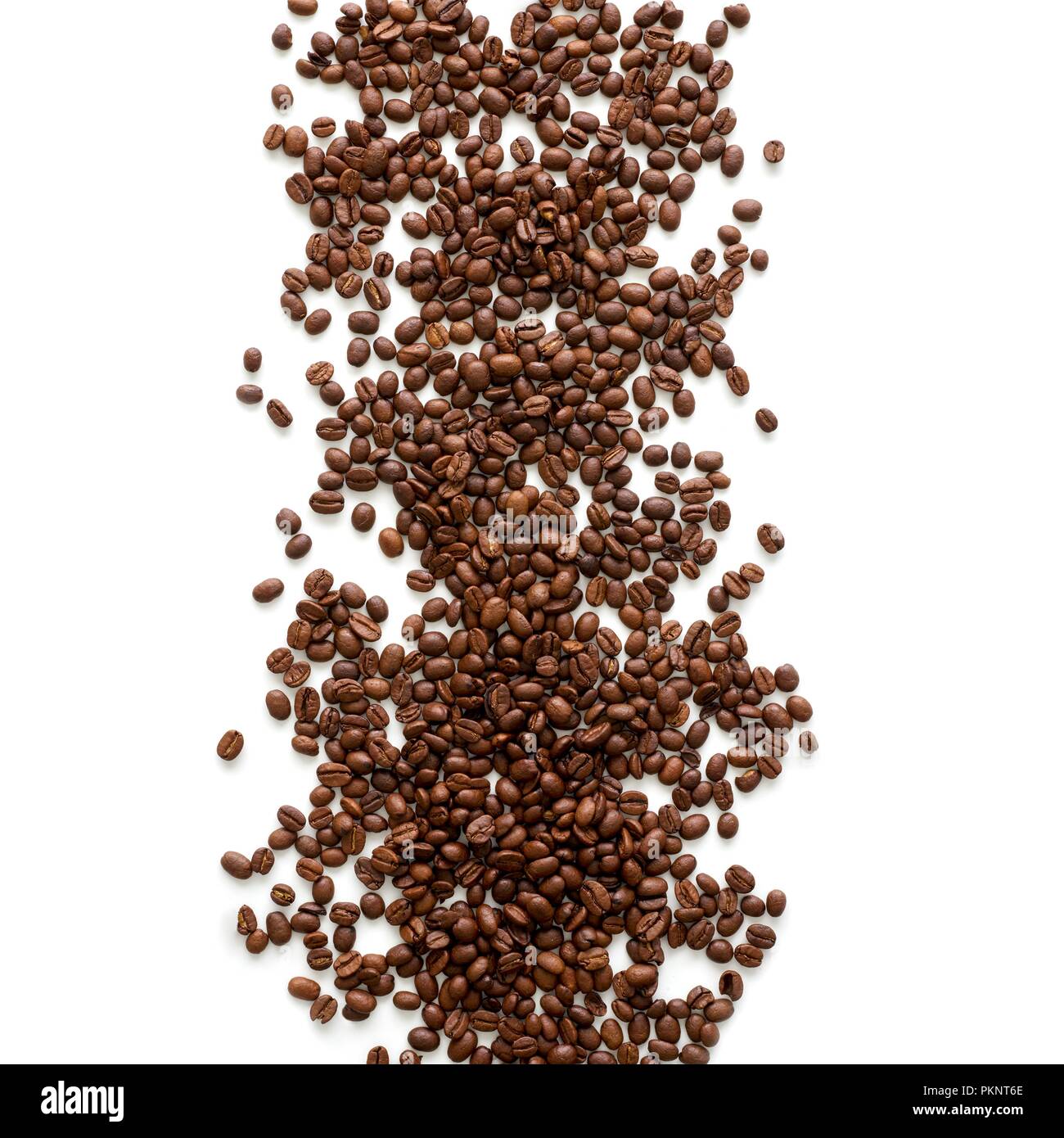 Kaffeebohnen gegen den weißen Hintergrund. Stockfoto