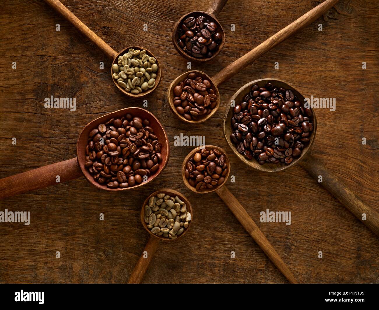 Holzlöffel mit Kaffeebohnen. Stockfoto