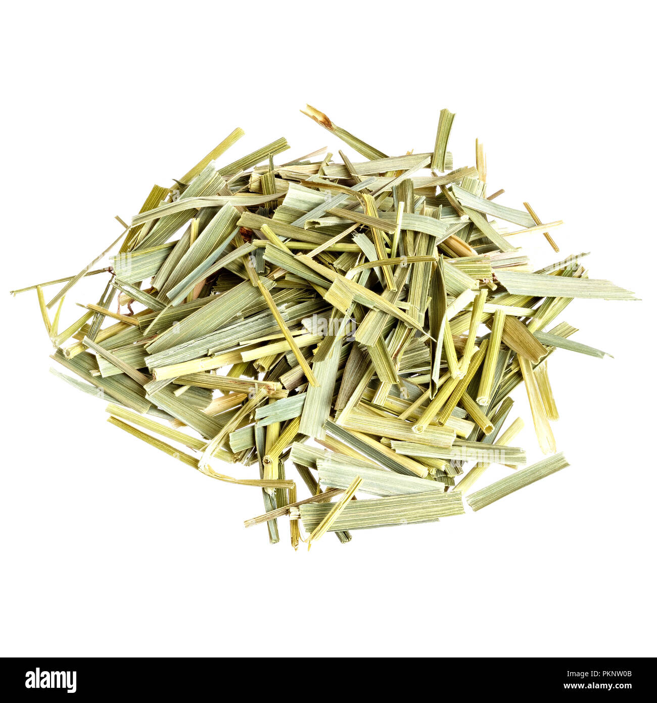 Getrockneten Ackerschachtelhalm isoliert auf Weiss. Hochauflösendes Foto. Stockfoto