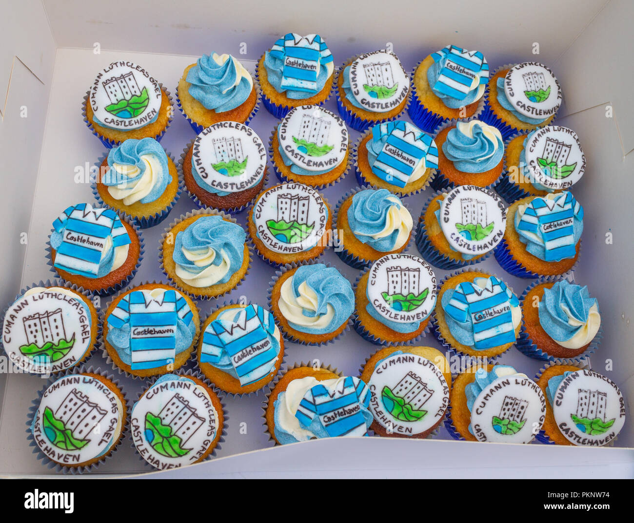 Box von Becher Kuchen mit blauen und weißen Zuckerguss Stockfoto