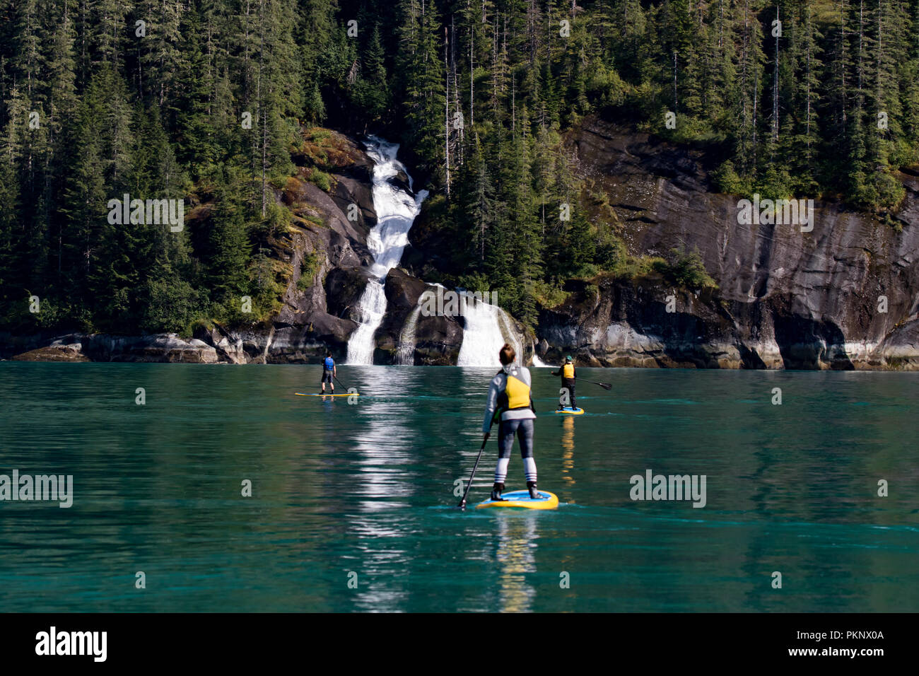 Stand up Paddle Boarding vor einem großen Wasserfall in der Eiszeitlich geschnitzt von Tracy Arm Fjord im Südosten Alaska USA Stockfoto