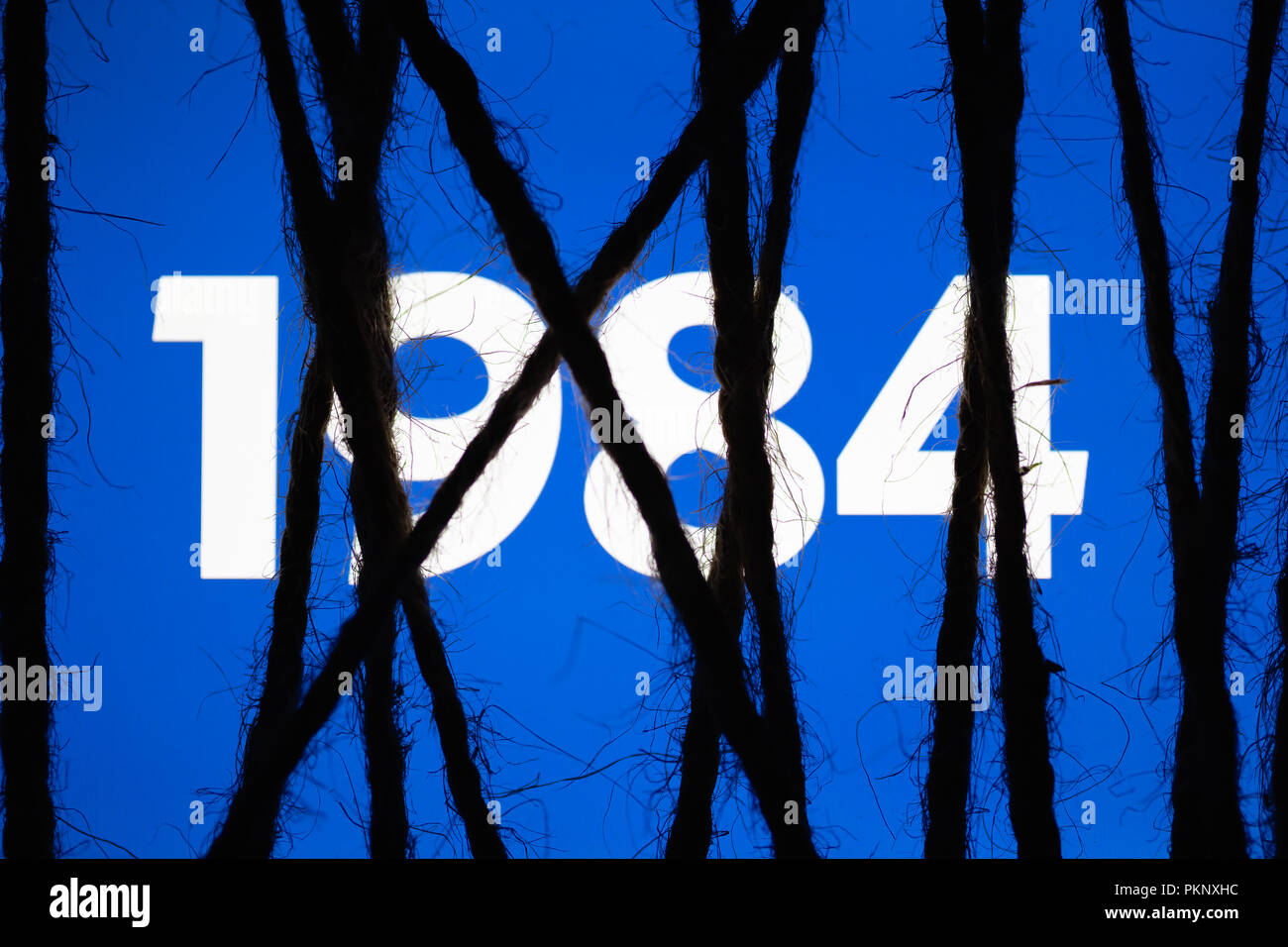 Smartphone in die dunklen, dicht gewickelt und mit groben Jute Bondage Seil mit leuchtenden blauen Bildschirm mit weißen Text "1984" gebunden. Konzept der Zensur Stockfoto
