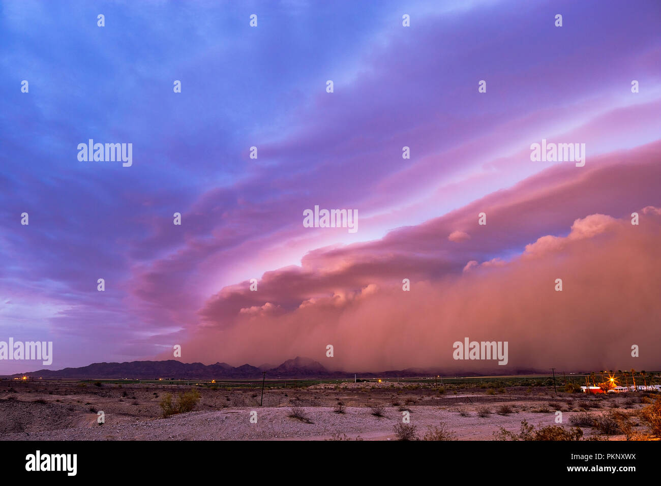 Ein Wüstenstaubsturm von Haboob mit einer dramatischen Schelfwolke (arcus) bei Sonnenuntergang in der Nähe von Dome Valley, Arizona, USA Stockfoto
