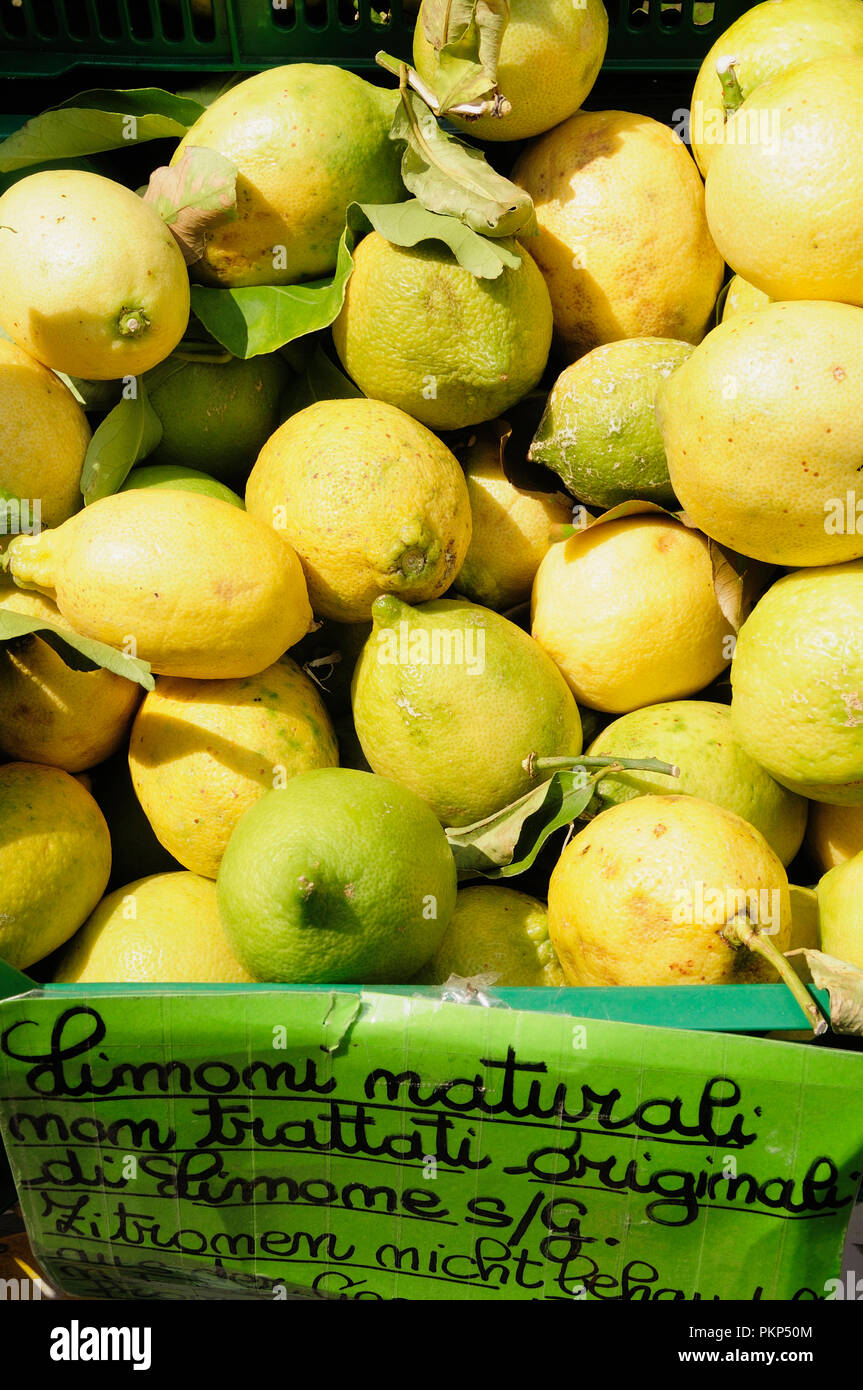 Italien, Lombardei, Gardasee, Limone, Rivera, Zitronen von Limone. Stockfoto