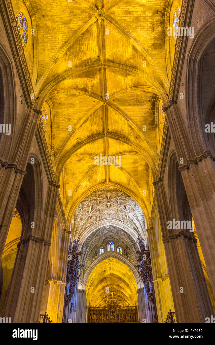 Sevilla, Spanien - 19. Juni 2017: Decke, Bögen und Säulen der gotischen Kirche in Sevilla, Spanien, Europa. Die Kathedrale von Sevilla, die auch als Cathed bekannt Stockfoto