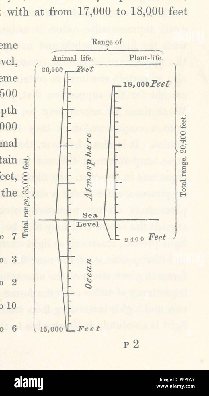 Bild von Seite 123 des "Nordatlantischen Sea-Bed bestehend aus einem Tagebuch der Reise an Bord der H.M.S. Bulldogge, im Jahre 1860, und Beobachtungen, die auf das Vorhandensein von tierischen Lebens,. in großen Tiefen im Ozean". Stockfoto
