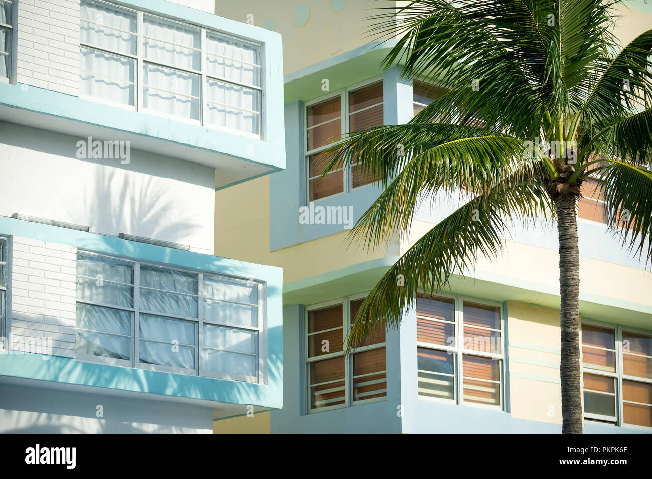 Typische pastell-colorfed 1930s Art Deco Architektur Detail mit Palmen in Miami, Florida Stockfoto