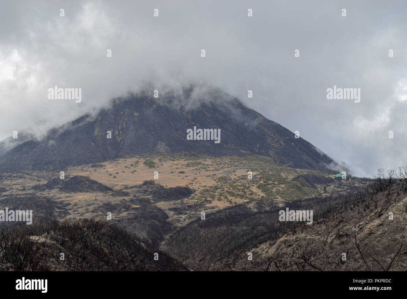 Little Meru im Arusha Nationalpark, Tansania Stockfoto