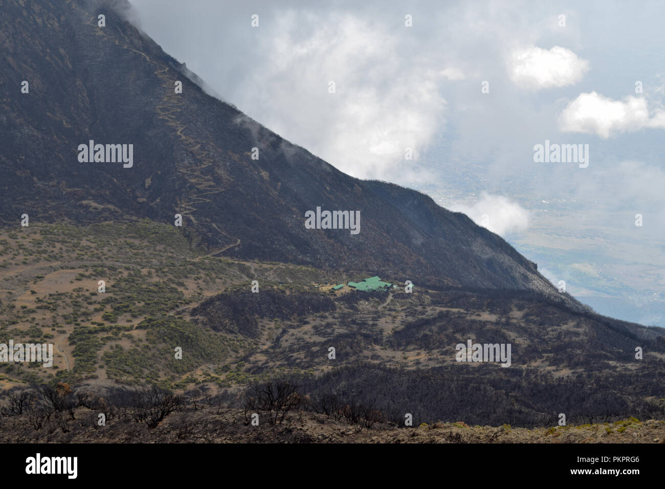 Little Meru im Arusha Nationalpark, Tansania Stockfoto