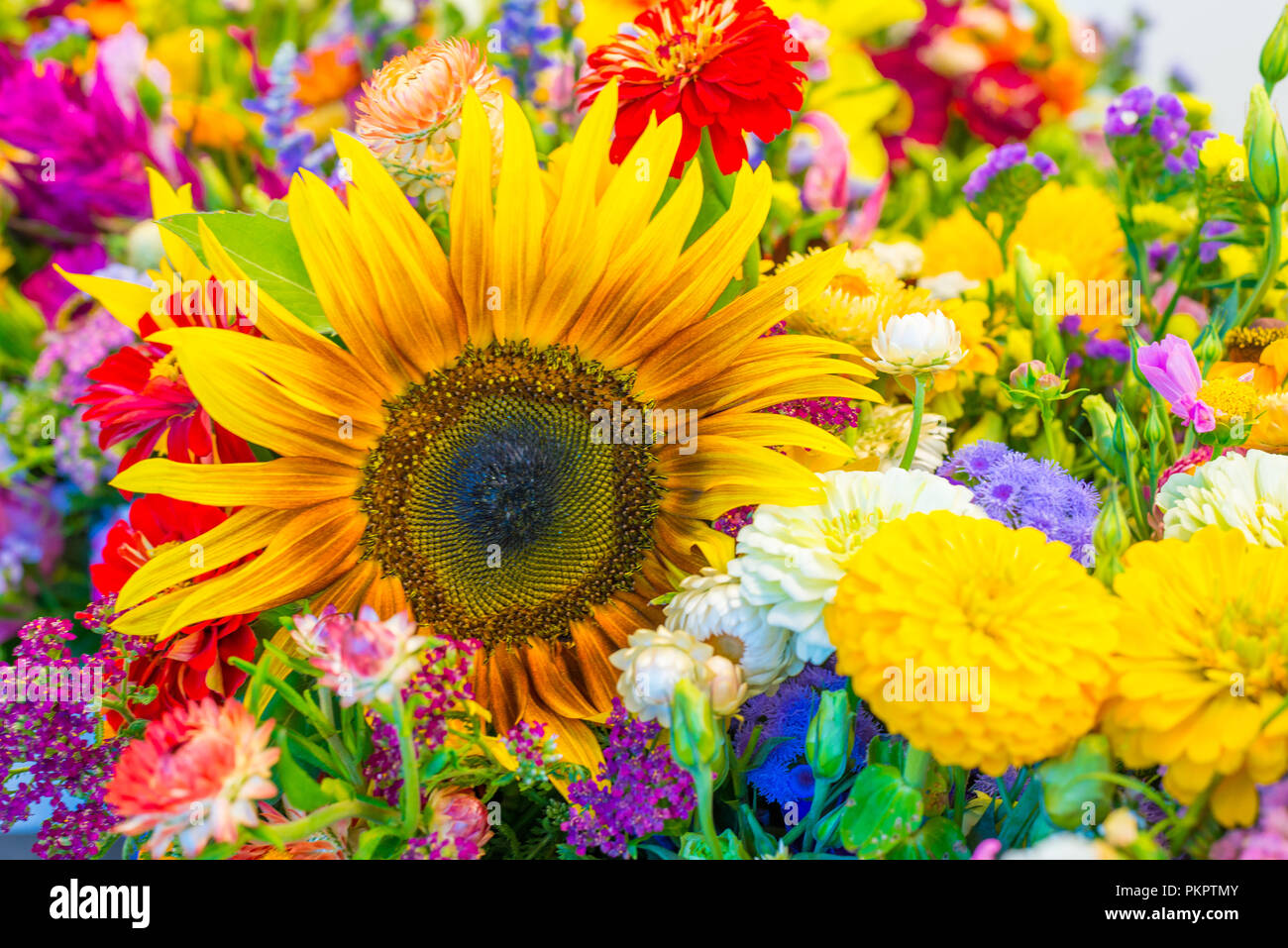 Ein Medley aus Blumen Stockfoto