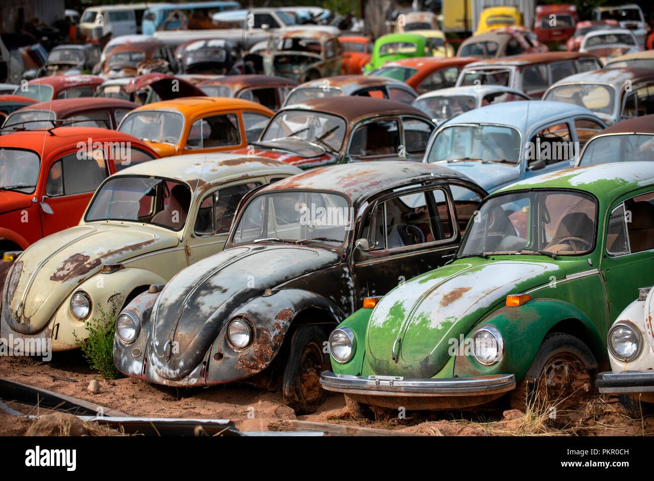 Rost alten Volkswagen Käfer in einem Schrottplatz in Moab, Utah, USA Stockfoto