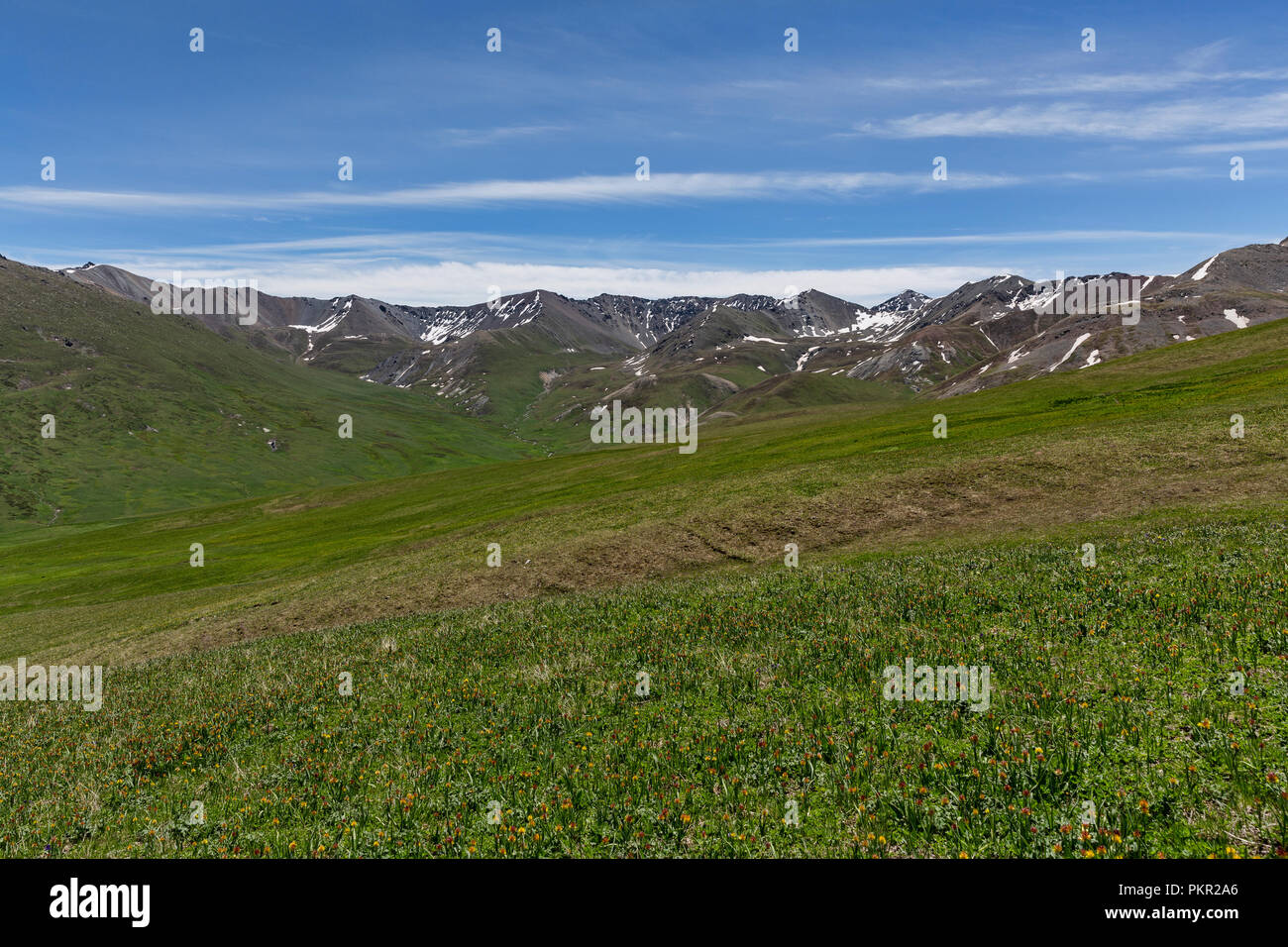 Quellgebiet Becken für das Uch Kashka Tal, Keskenkyia Loop trek, Jyrgalan, Kirgisistan Stockfoto