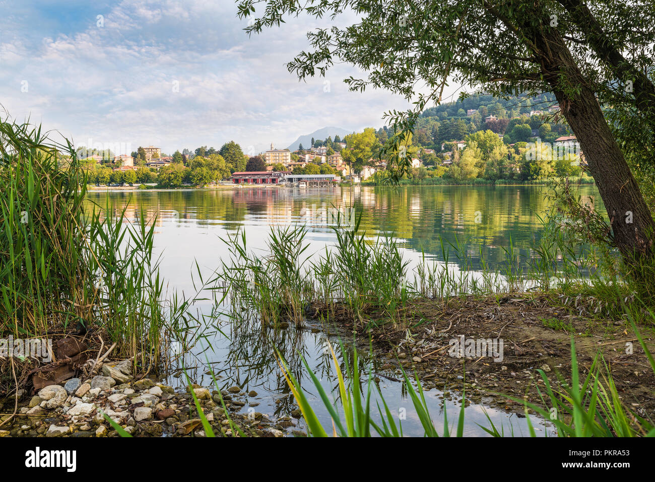 Schöner See in Norditalien. Lago di Varese, im Hintergrund die Stadt Comerio Stockfoto