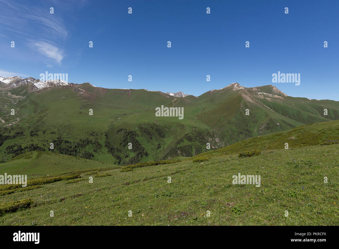 Ausläufern des Terskey Ala-Too Gebirge, Keskenkyia Loop trek, Jyrgalan, Kirgisistan Stockfoto