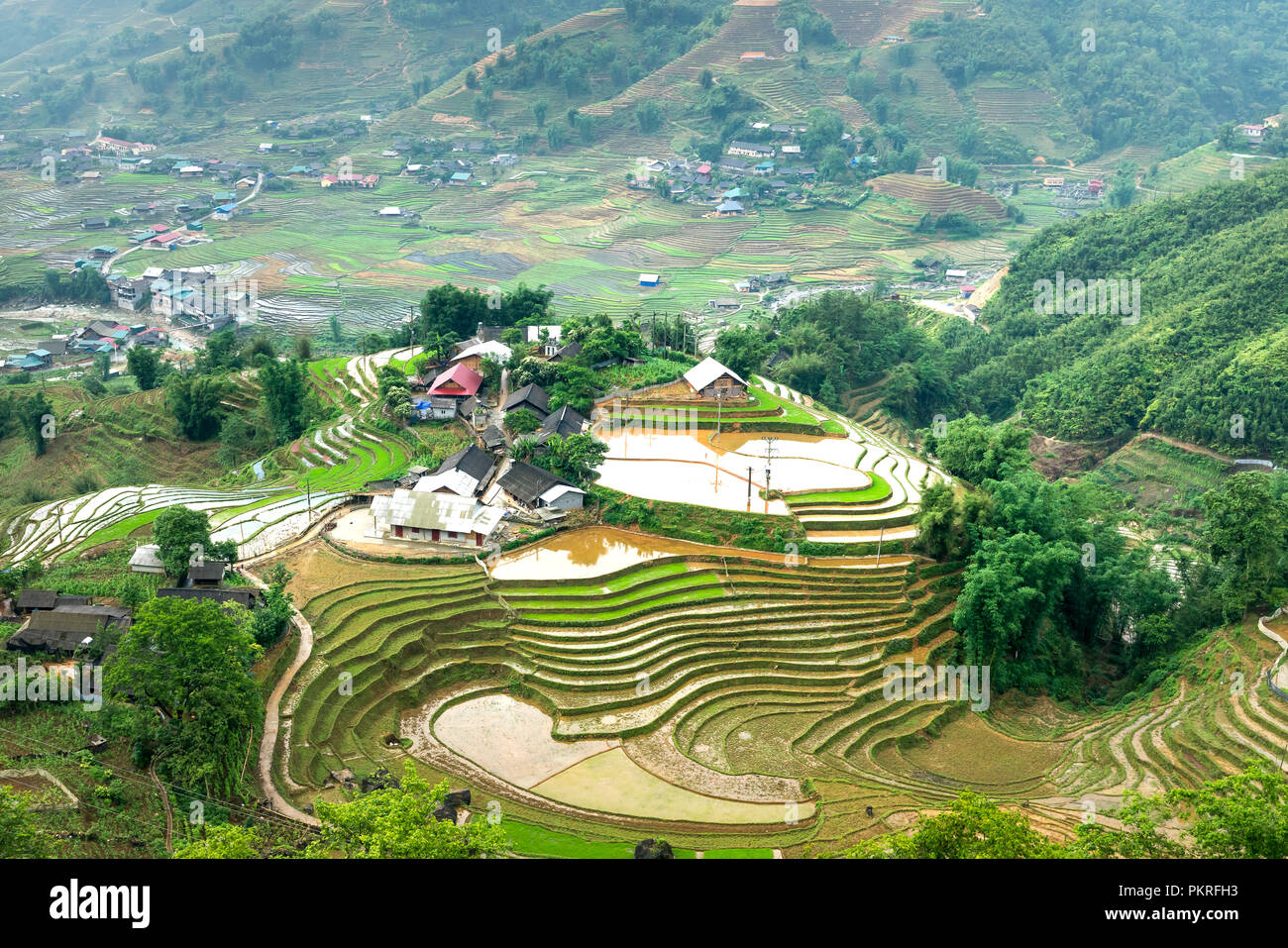 Blick in die ruhige Landschaft der Berge. Herrliche Szene des terrassierten Reisfeldern in Sapa, Lao Cai Provinz. Vietnam Stockfoto