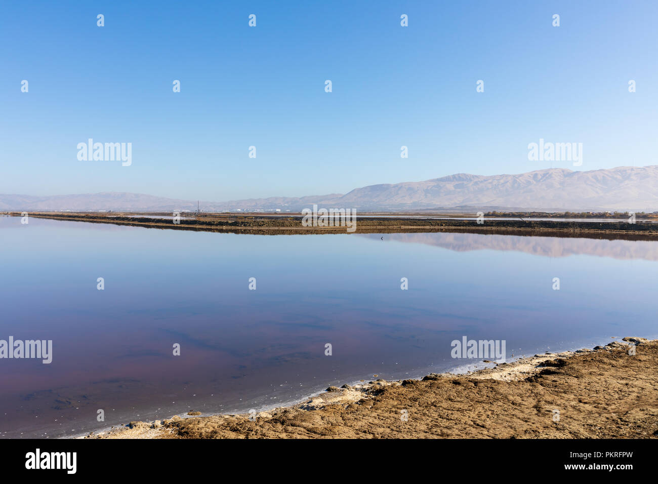 Alviso Marina County Park, Blick auf Salt Pond 12; Alviso, San José, Kalifornien, USA Stockfoto