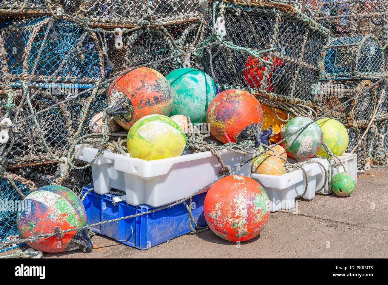 Hummer fallen im Hafen St Andrews, Schottland Stockfoto