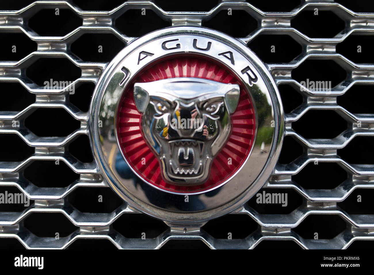 Jaguar badge Zeichen Logo Stockfotografie Alamy