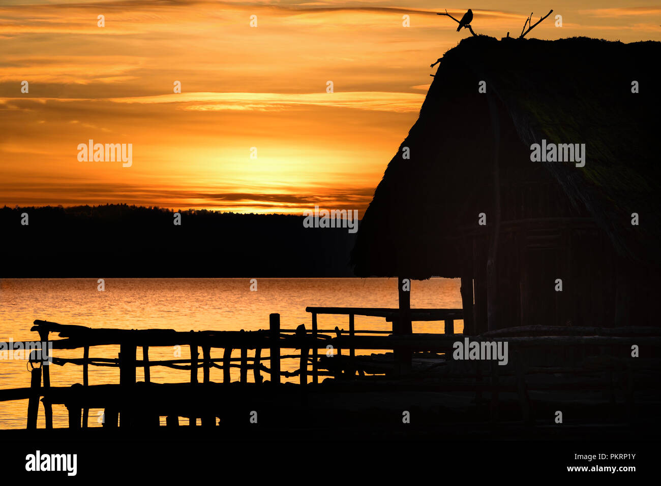 Sonnenuntergang Landschaft mit einem gespiegelten Holzhütte und ein Vogel auf es, auf einem See, an der Goldenen Stunde an, Bodensee, Deutschland. Stockfoto