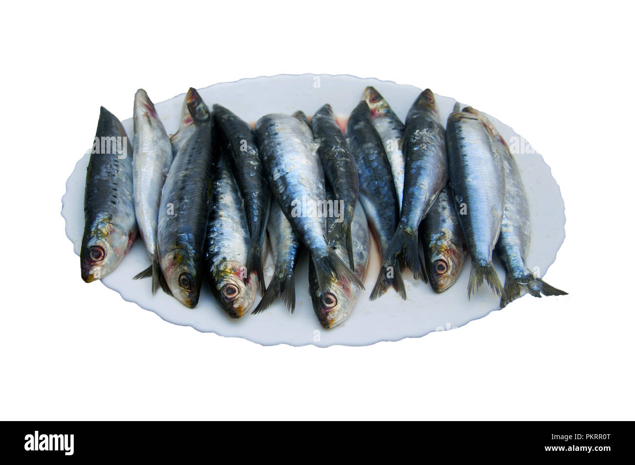 Frische Sardinen Fisch auf die weiße Platte, isoliert Stockfoto