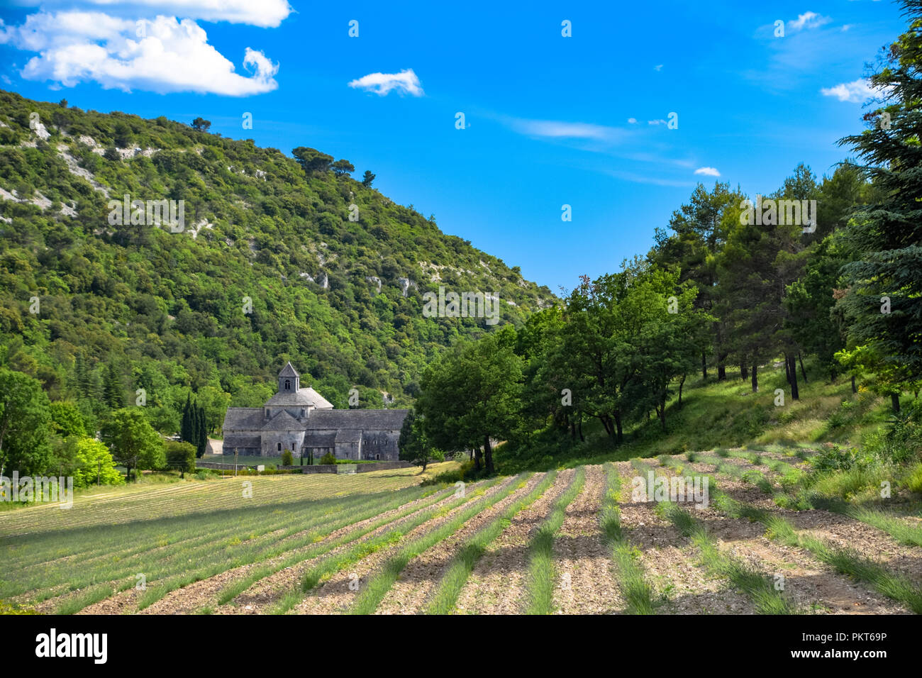 Der historischen Abtei von Senanque in der Nähe des Dorfes Gordes, Provence, Frankreich Stockfoto