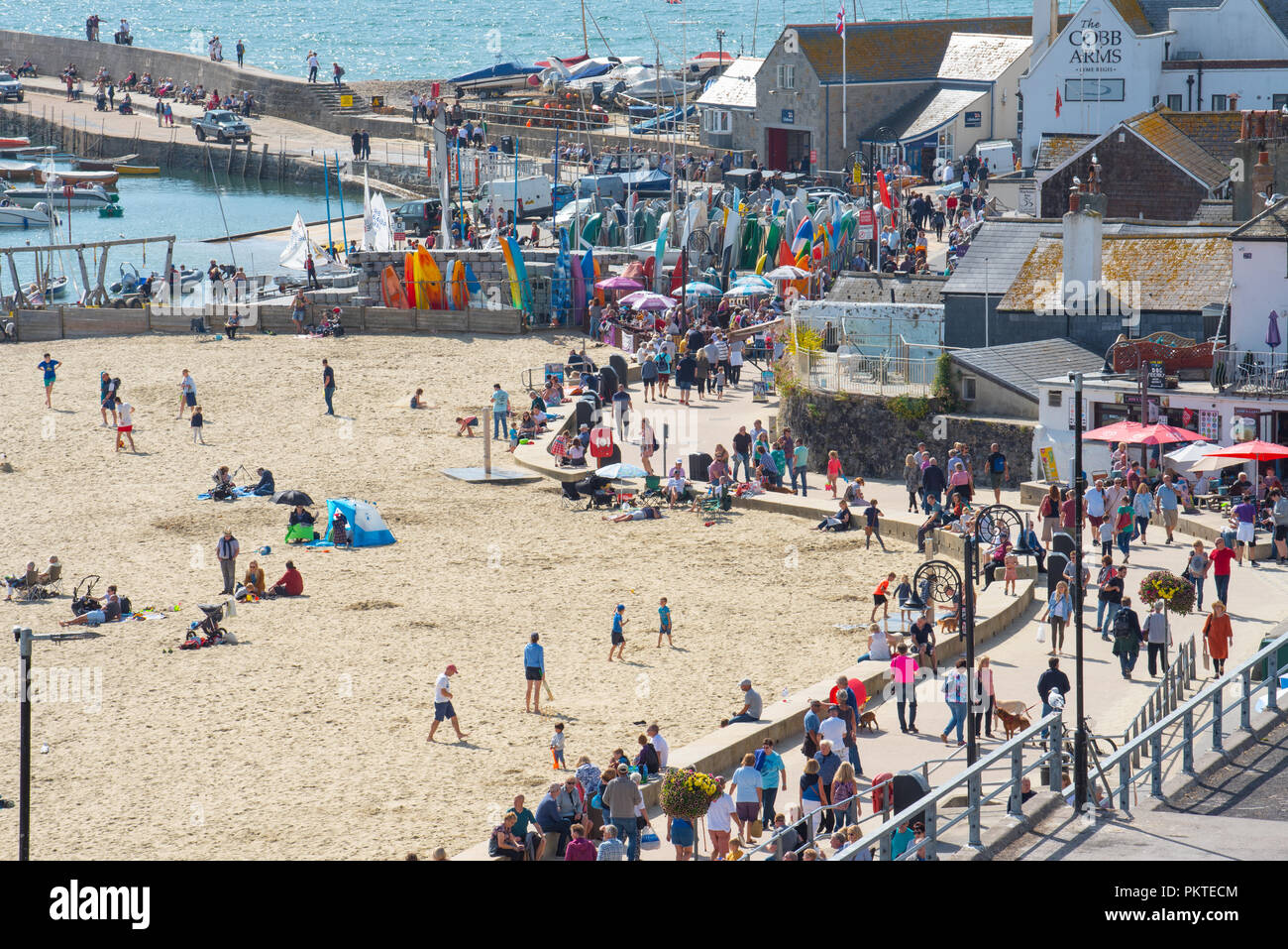 Lyme Regis, Dorset, Großbritannien. 15. September 2018. UK Wetter: Besucher und Einheimische genießen Sie warmen Sonnenschein und strahlend blauen Himmel in den Badeort Lyme Regis auf einem anderen glorreichen September Wochenende. Credit: Celia McMahon/Alamy leben Nachrichten Stockfoto