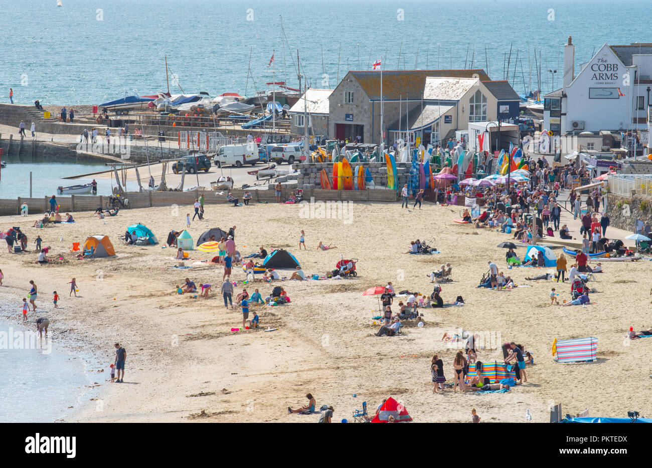 Lyme Regis, Dorset, Großbritannien. 15. September 2018. UK Wetter: Besucher und Einheimische genießen Sie warmen Sonnenschein und strahlend blauen Himmel in den Badeort Lyme Regis auf einem anderen glorreichen September Wochenende. Credit: Celia McMahon/Alamy leben Nachrichten Stockfoto