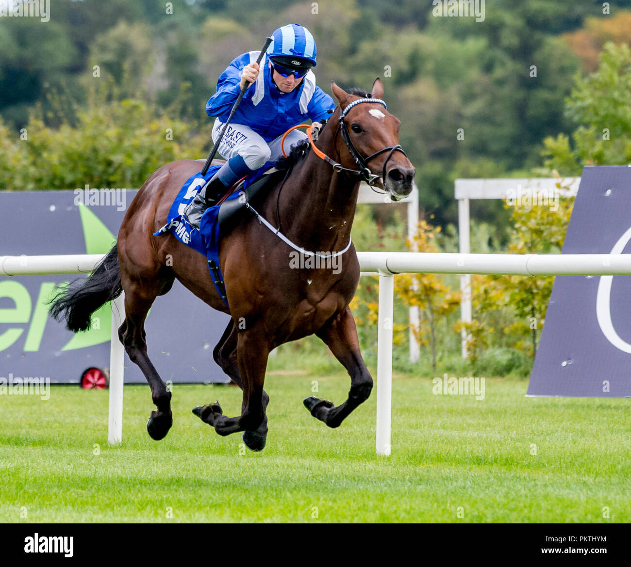 Dublin, DUB, USA. 15 Sep, 2018. September 15, 2018: Madhmoon, geritten von Kevin Prendergast, gewinnt die KPMG Champions Jugendliche Pfähle auf Irischen Meister Stakes Tag an der Rennbahn Leopardstown am 15. September 2018 in Dublin, Irland. Scott Serio/ESW/CSM/Alamy leben Nachrichten Stockfoto