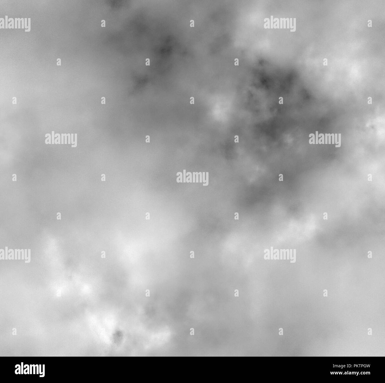 Abstrakte schwarze und weiße Fraktale auf weißem Hintergrund. Fantasy fraktale Struktur. Digitale Kunst 3D-Rendering. Computer Generated image Stockfoto
