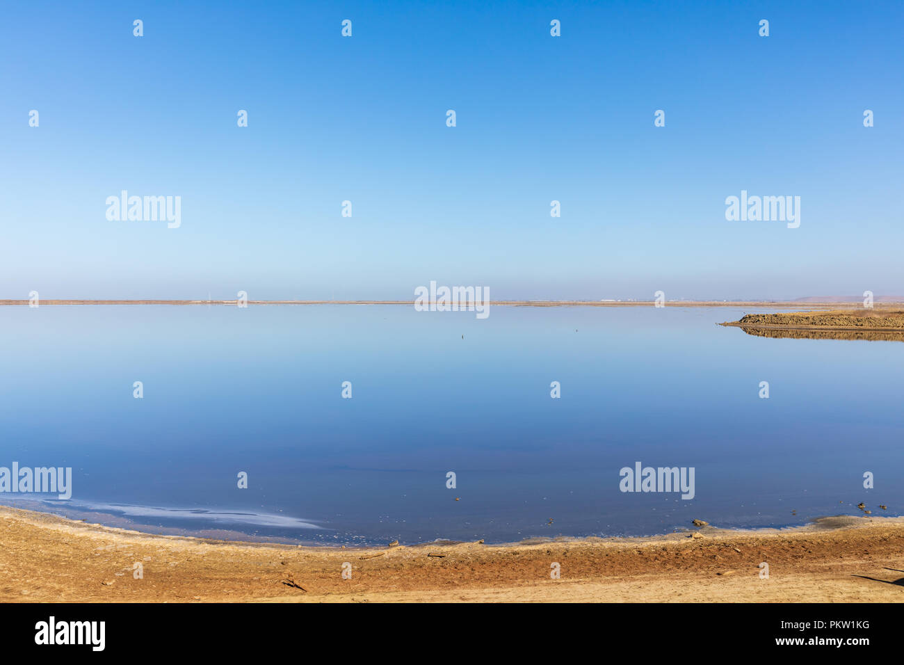 Alviso Marina County Park, Blick über Salt Pond 12; Alviso, San José, Kalifornien, USA Stockfoto
