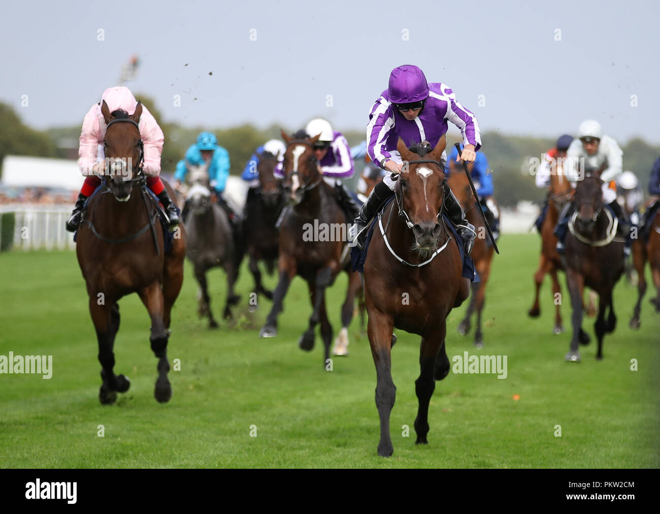 Kew Gardens geritten von Ryan Moore gewinnt den William Hill St Leger Stakes während Tag vier der 2018 William Hill St Leger Festival in Doncaster Racecourse, Doncaster. Stockfoto