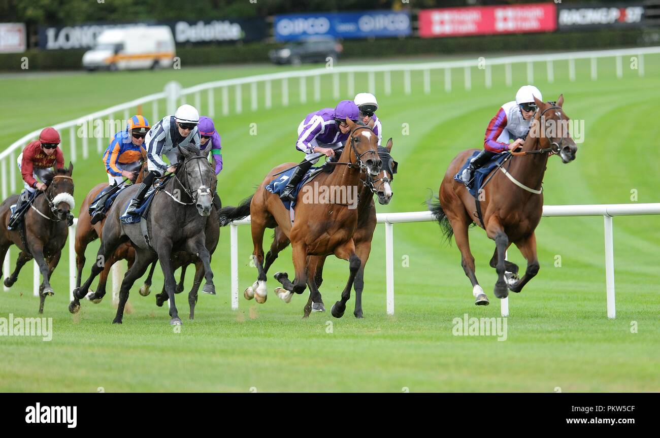 Pferd Laurens & Daniel Tudhope (rechts) biegen Sie in die Home Die Gruppe 1 Coolmore Fastnet Rock Matrone Stangen direkt zu von Alpha Centauri & Colm O'Donoghue (links) während des Tages eine der 2018 Longines irische Champions Wochenende an der Rennbahn Leopardstown, Dublin gewinnen. Stockfoto