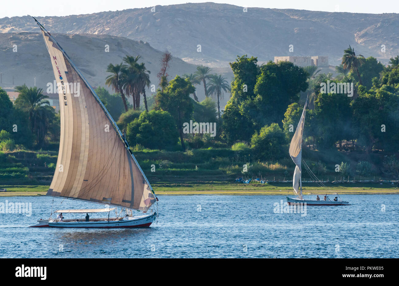Die traditionellen Feluke segeln Boote, der Nil mit Bäumen am Flussufer und Wüste Felsen im Abstand im frühen Morgenlicht, Assuan, Ägypten, Afrika Stockfoto