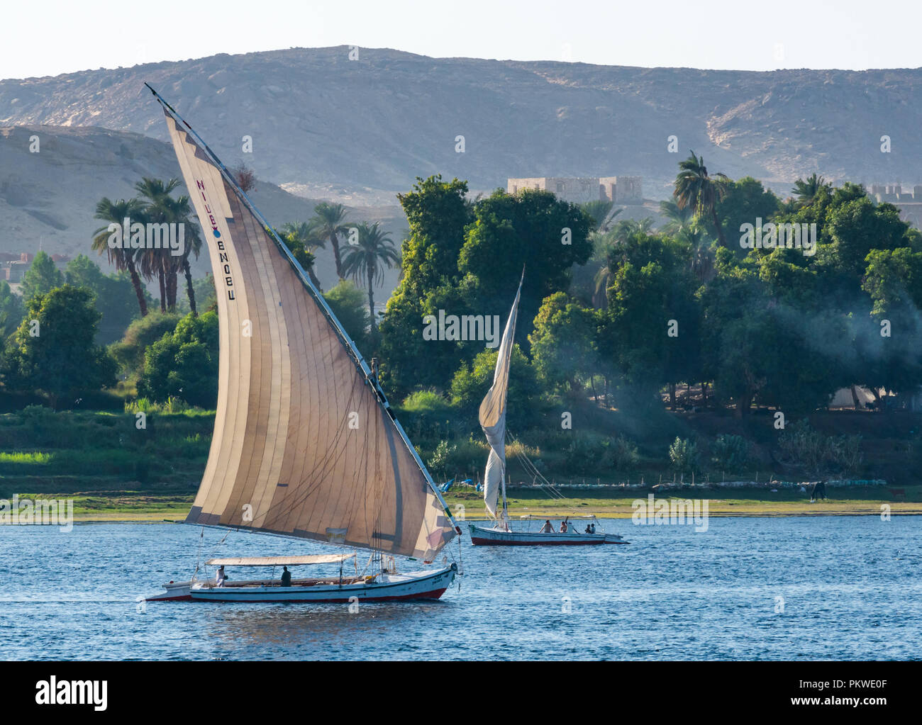 Die traditionellen Feluke segeln Boote, der Nil mit Bäumen am Flussufer und Wüste Felsen im Abstand in der Dämmerung Licht, Assuan, Ägypten, Afrika Stockfoto
