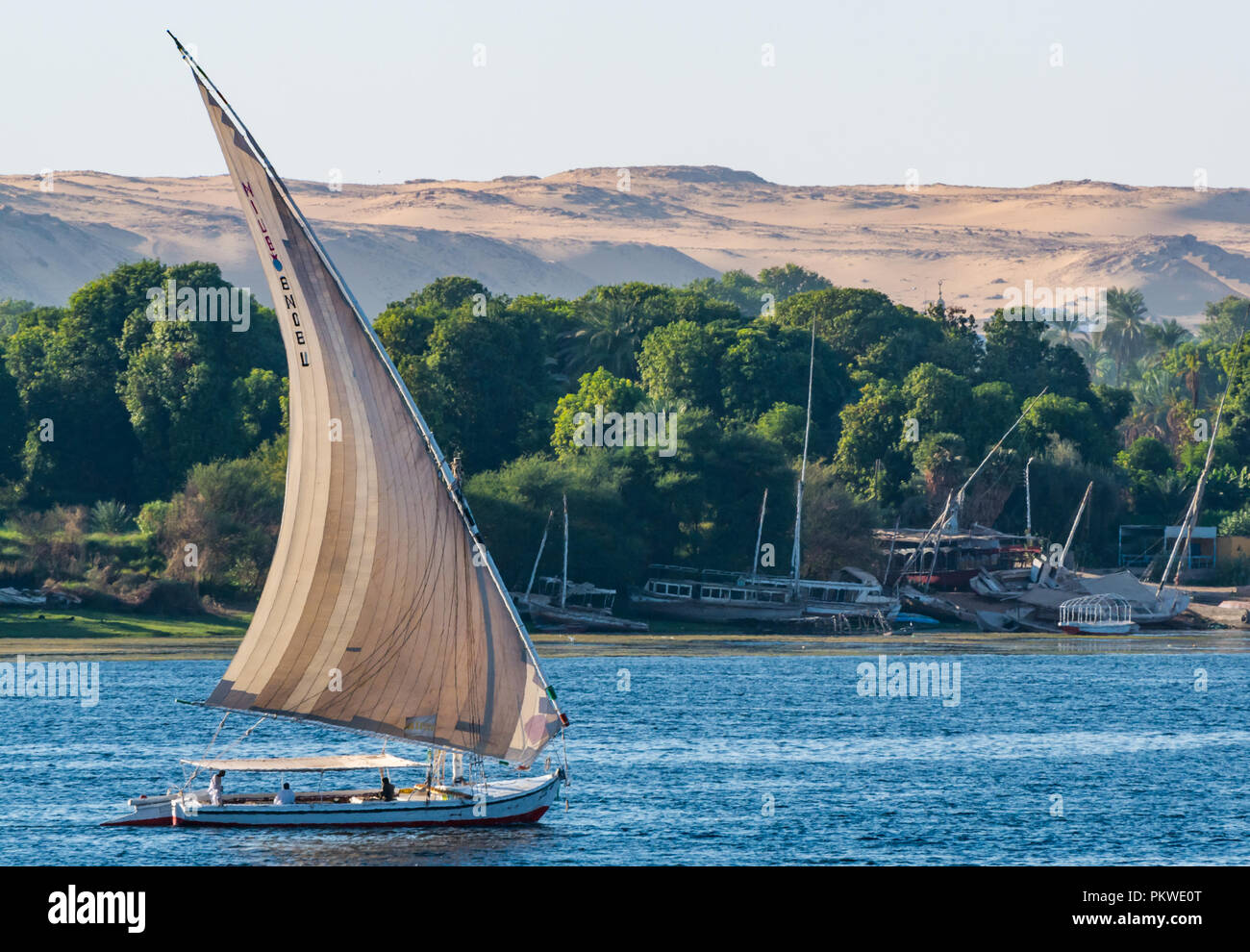 Die traditionellen Feluke segeln Boote, der Nil mit Bäumen am Flussufer und Wüste Felsen im Abstand in der Dämmerung Licht, Assuan, Ägypten, Afrika Stockfoto