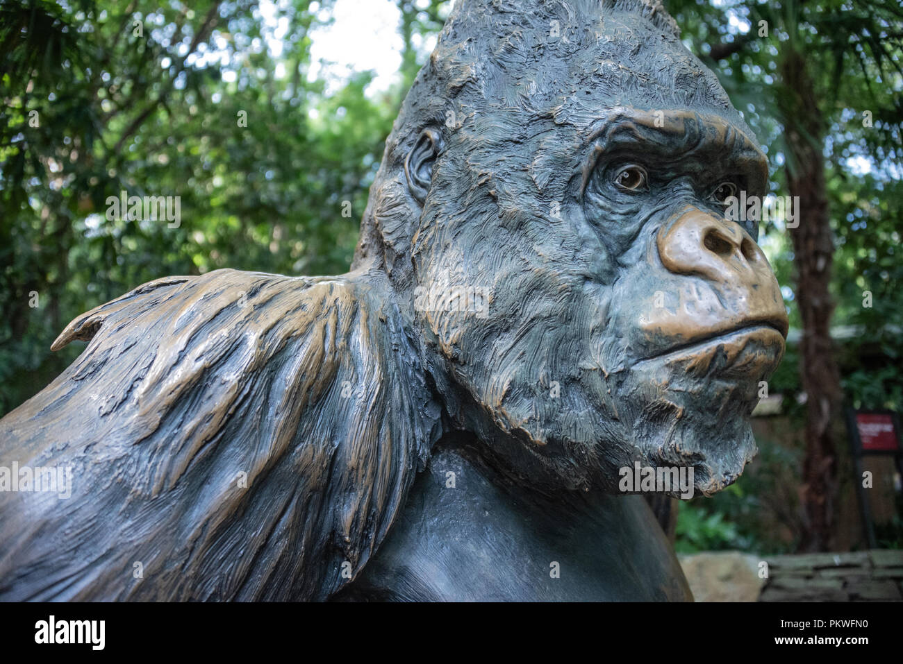Bronzestatue von Willie B., einem beliebten westlichen Flachlandgorilla im Zoo Atlanta, die nach dem ehemaligen Bürgermeister von Atlanta benannt wurde, William Berry Hartsfield. Stockfoto