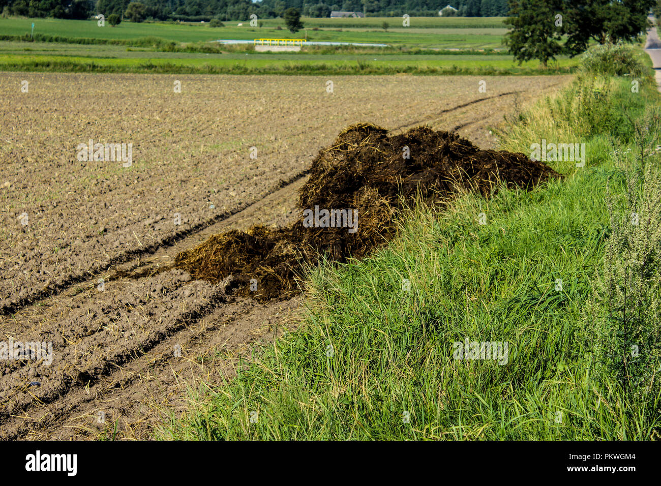 bambus mit kaffee düngen Bambusdünger - Mineralischer NPK Flüssigdünger mit Stickstoff main image 0