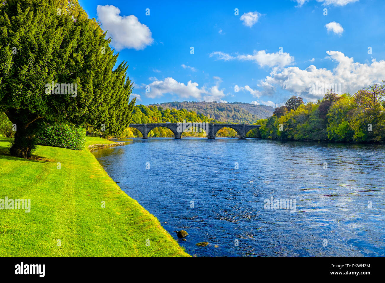 In den Fluss Tay, der längste Fluss in Schottland an Dunkeld mit Thomas Telford entworfen Brücke biegen. Im Herbst an einem sonnigen Tag mit Gras und Fol genommen Stockfoto