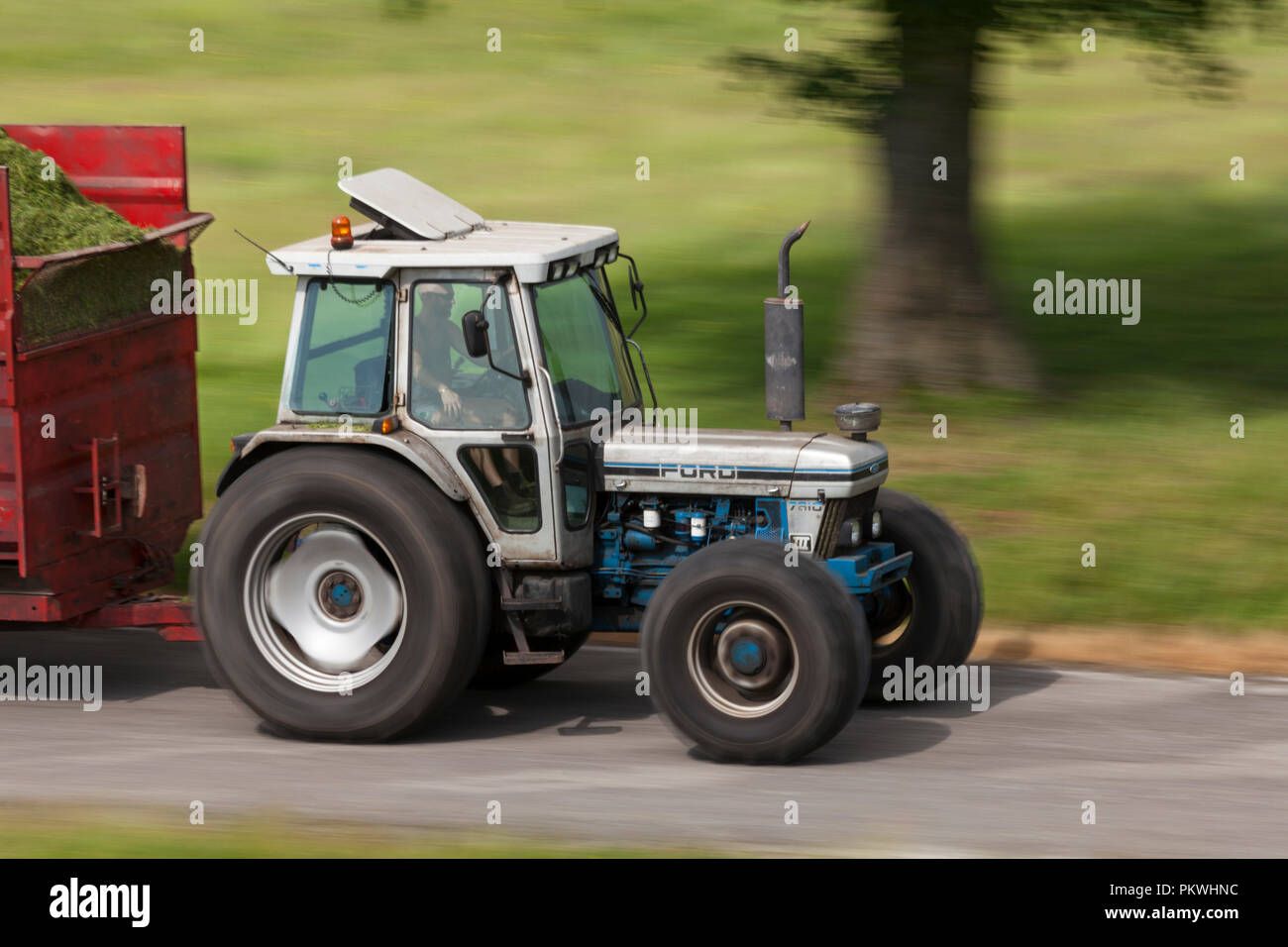 1989 Ford 7810 Silver Jubilee Traktor carting Silage auf eine britische Molkerei. Das Silber 7810 sind selten und Sammlerstück, nur 150 gebaut wurden Stockfoto