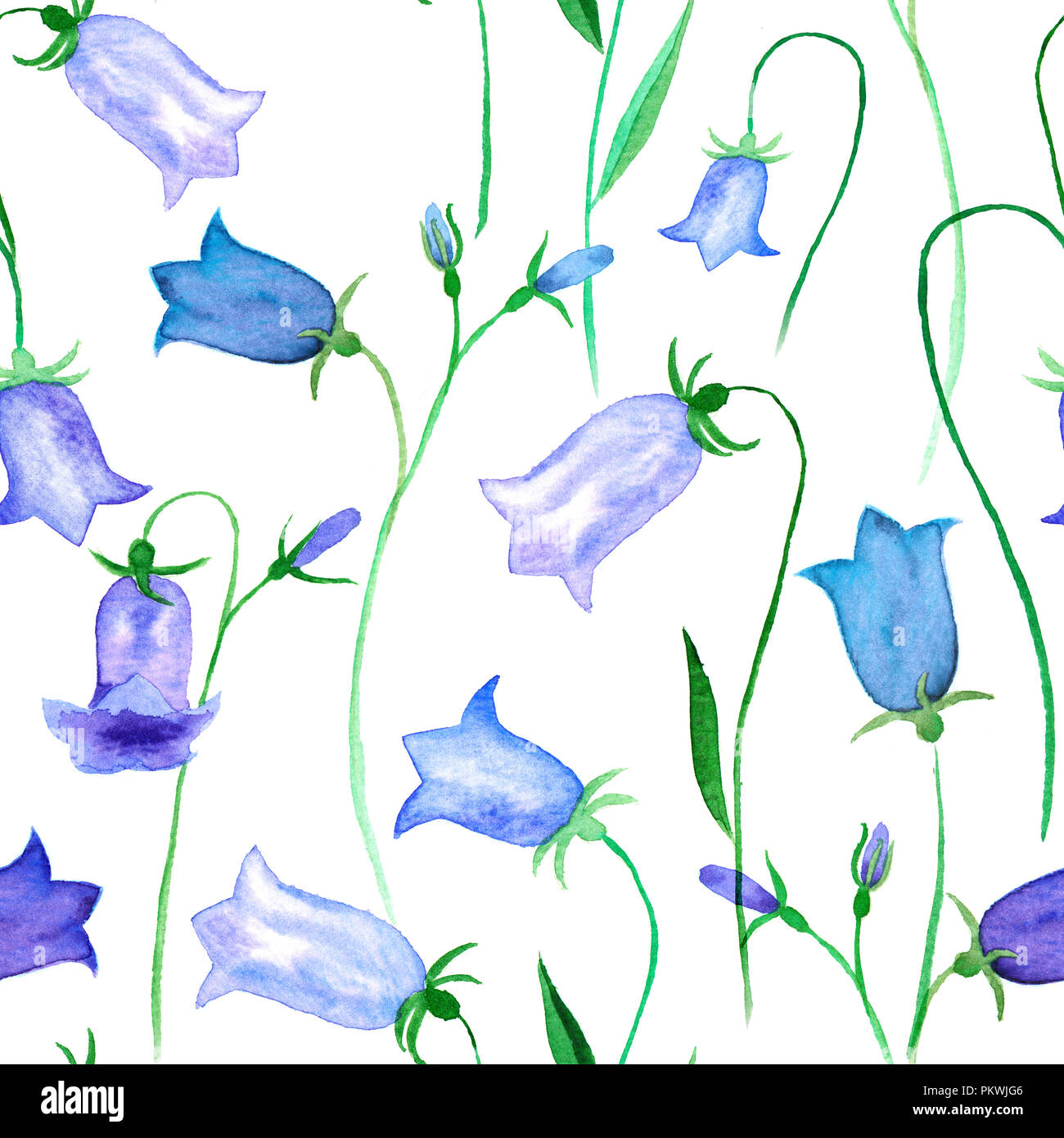 Nahtlose wiederholbare Glockenblume Aquarell auf weißem Hintergrund Stockfoto