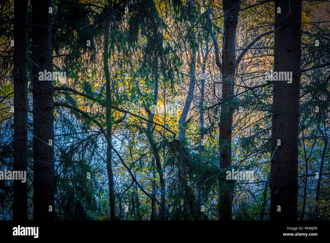 Herbst am See Judarn, Stockholm, Schweden Stockfoto