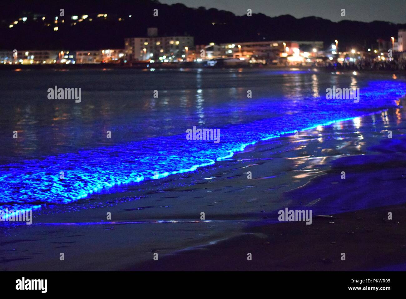 Elektrisches Blaues Glow auf den Wellen der Pazifikküste oder Red Tide. Das elektrische Blau in diesen pazifischen Küstenwellen wird durch ein Dinoflagellat verursacht Stockfoto