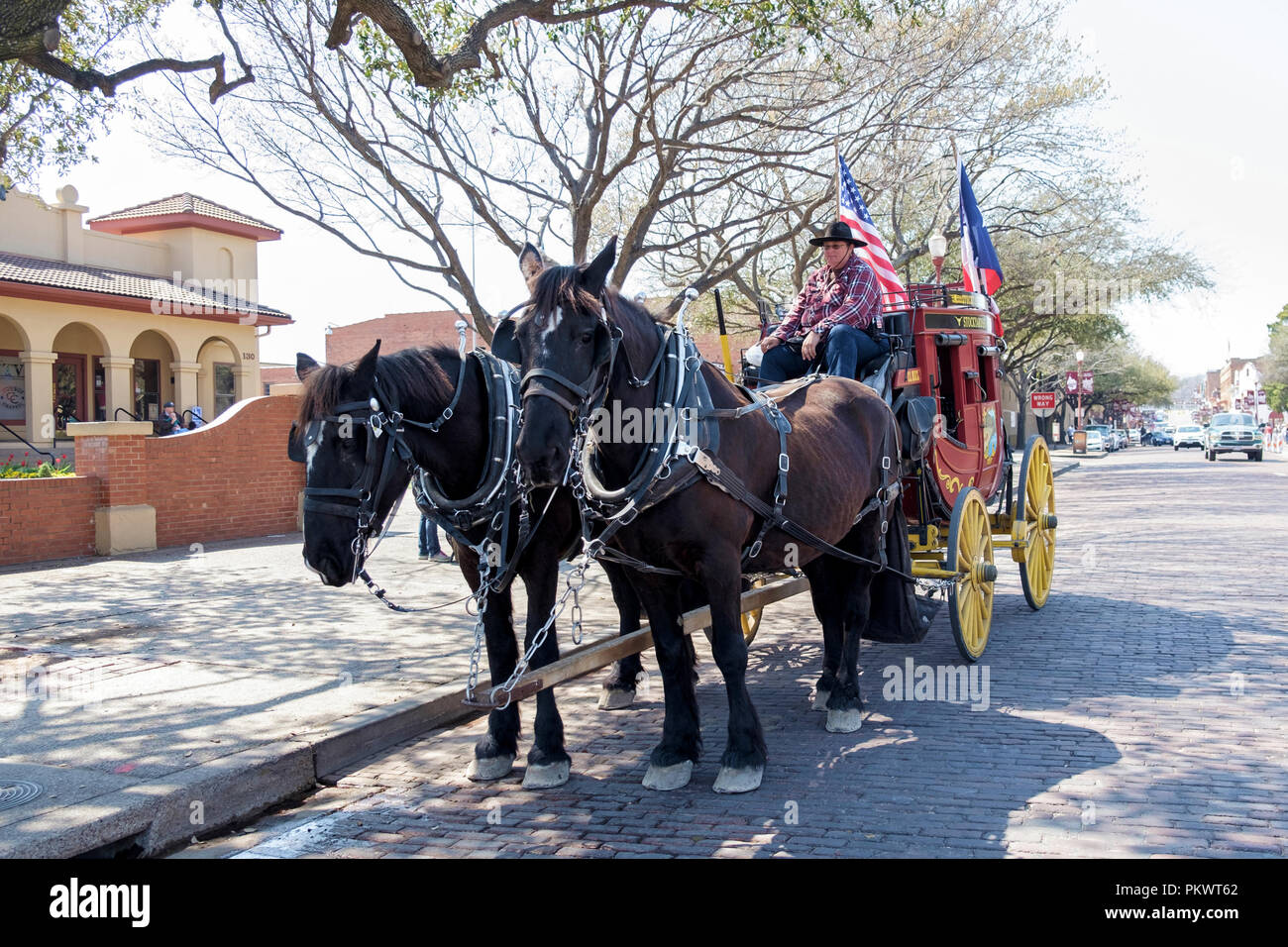 Staycation. Alte westliche Pferdekutsche. Amerikanische Flagge, Texas Flagge. Fahrer mit Cowboyhut und Flanellhemd. Fort Worth Stockyards, Texas. Stockfoto