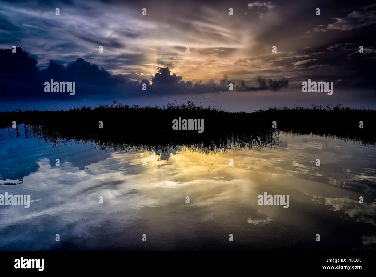 Im letzten Licht des Tages in den flachen Gewässern in Loxahatchee National Wildlife Refuge nieder Stockfoto
