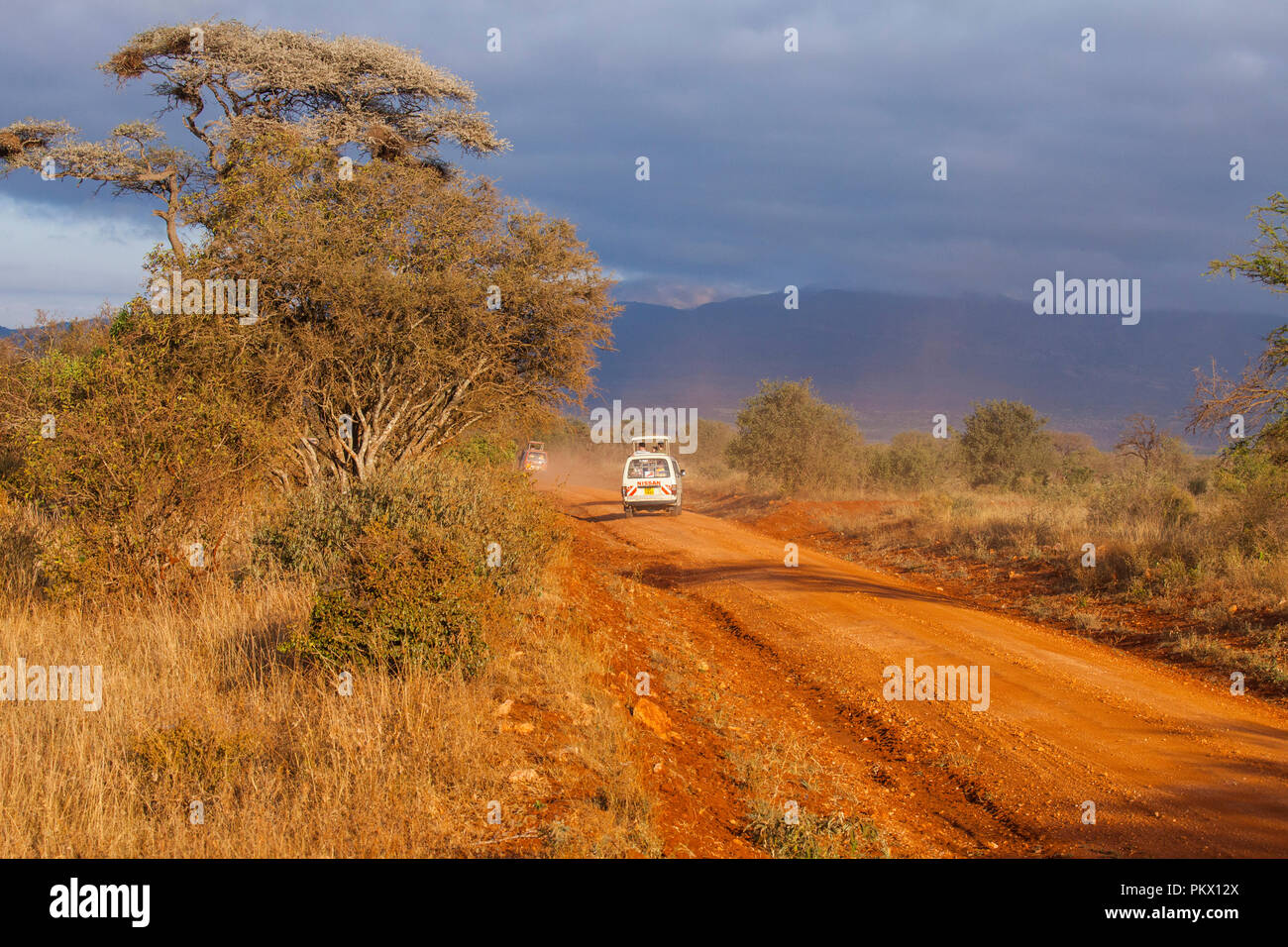 AMBOSELI, Kenia - 23. FEBRUAR 2018: Jeep Safari im Amboseli Nationalpark in Kenia. Stockfoto