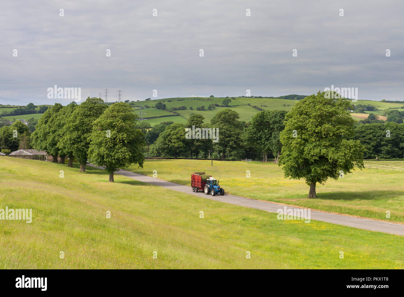 1991 Ford 7810 Generation 3 Traktor mit Teagle 8 Tonnen Anhänger von einem Landwirt carting Silage auf einer Molkerei in der englischen Landschaft verwendet werden Stockfoto