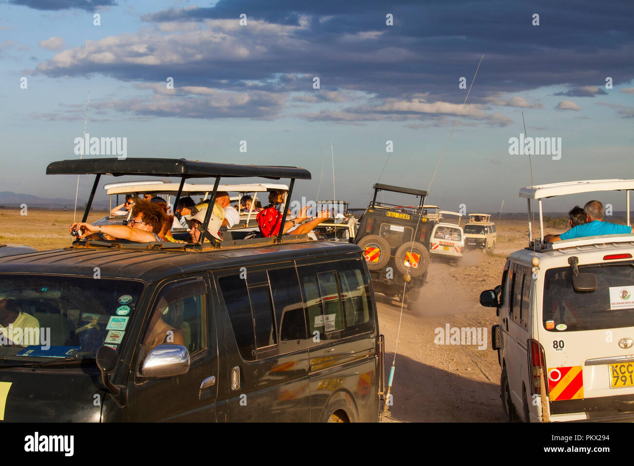 AMBOSELI NATIONAL PARK, Kenia - 22. FEBRUAR 2018: Stau in Amboseli - die Touristen beobachten, die Löwen Familie von einer Safari. Stockfoto